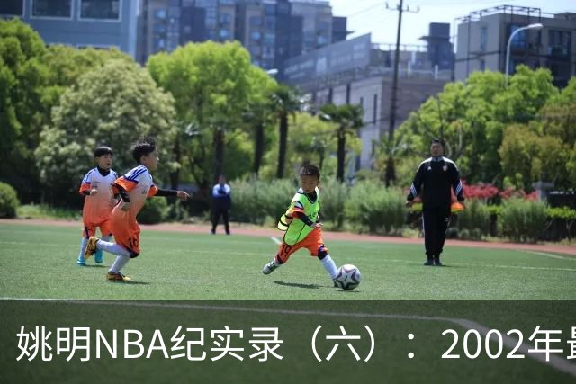 姚明NBA纪实录（六）：2002年最佳新秀姚明为何没有干过小斯